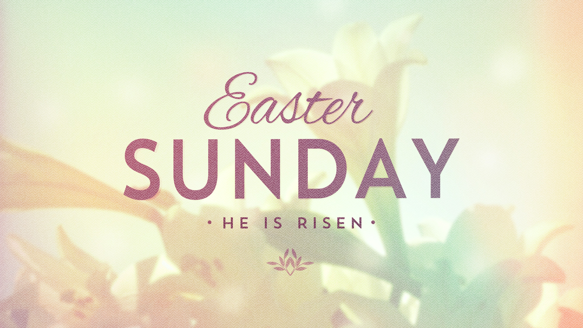 Easter Sunday Quotes, Images, Easter Bunny Images 2017